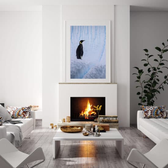 framed fine art print of emperor penguin on iceberg displayed in modern stylish luxury home