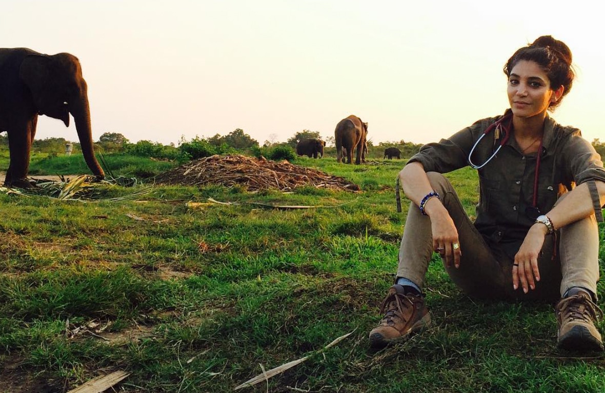 Photo of Dr. Gabby Wild with elephants