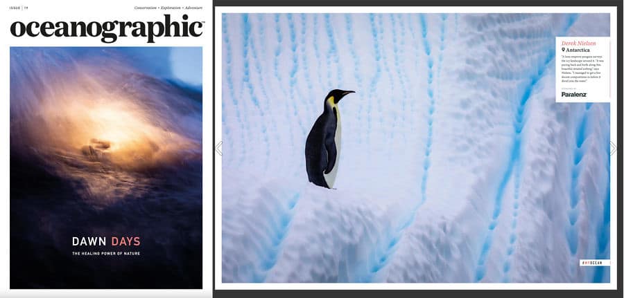 Award winning image of an emperor penguin in Antarctica featured in Oceanographic Magazine