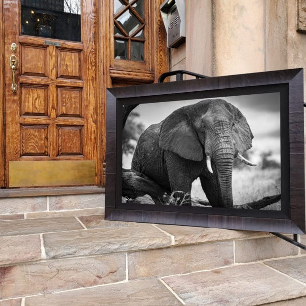 actual artwork of elephant in black and white framed in Roma frame