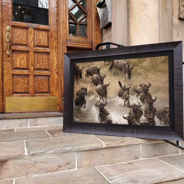 actual print of wildebeest crossing a river framed in a Roma frame