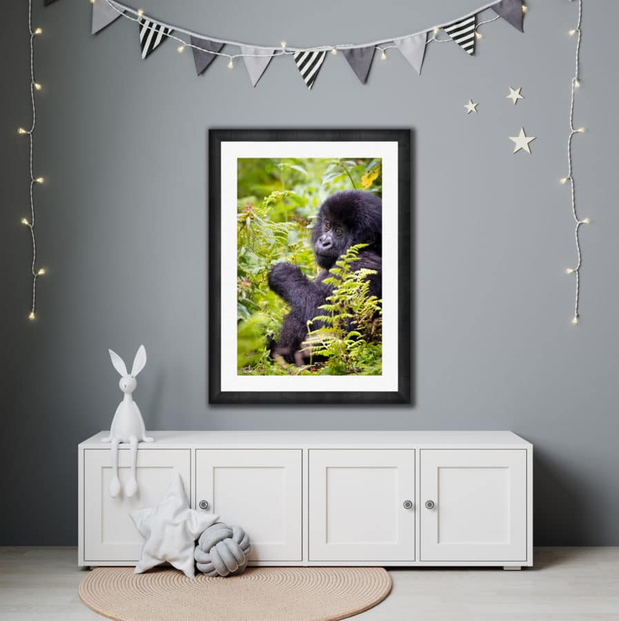 Large photograph of cute baby gorilla displayed in modern baby room