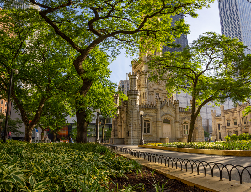 bright image of the historic Chicago water tower taken in the summer when the leaves are lush and green
