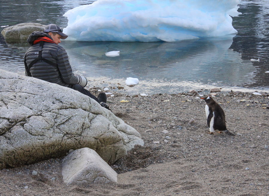 image of photographer Derek Nielsen in Antarctica watching a penguin