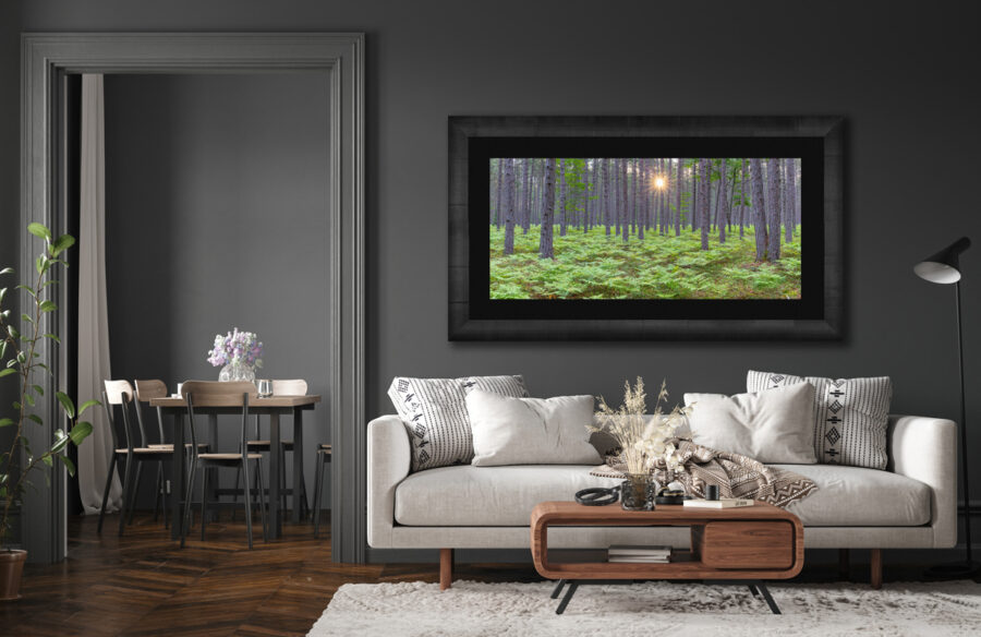 Image of a beautiful forest framed and displayed in a modern living room
