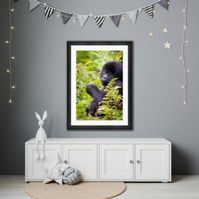 framed fine art photo of a baby gorilla displayed in a child's bedroom