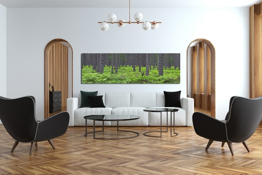 photo of a forest full of green ferns and pine trees displayed in the living room interior design of a luxury home