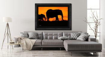 Glowing Serengeti framed