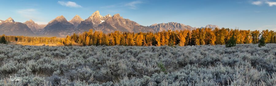Grand Tetons in the fall colors at sunrise 
