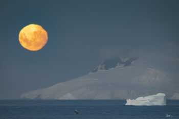 bright sun in Antartica