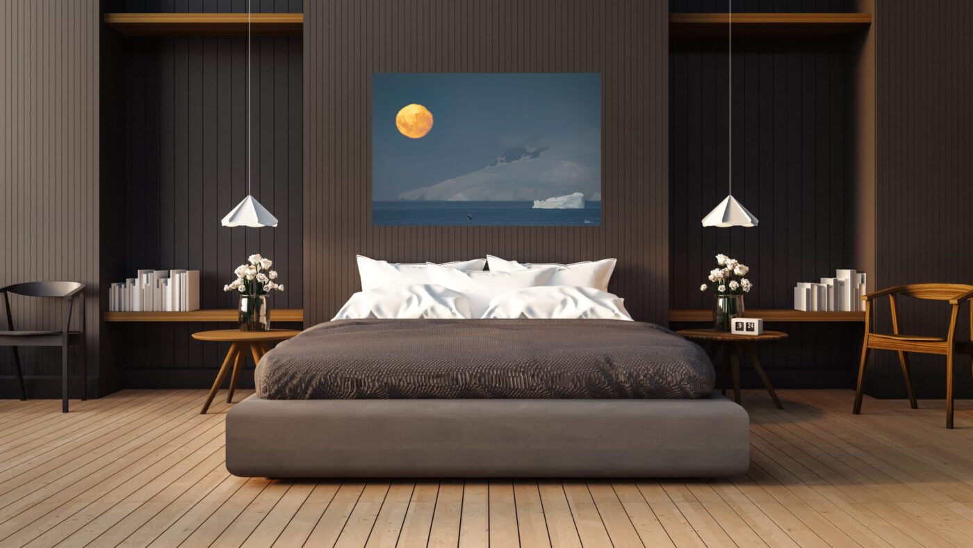 photo of Antartica over bed