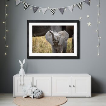 trumpeter framed in kids bedroom