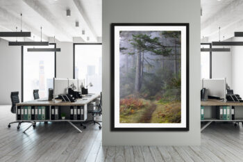 large framed fine art print of a foggy forest on San Juan Island in Washington State displayed in a modern office setting