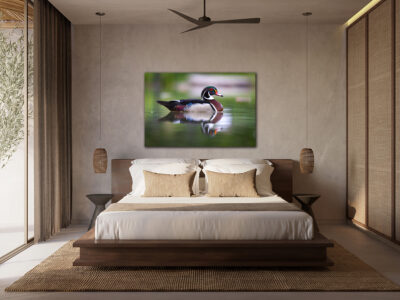 Large unframed fine art print of a wood duck displayed in the bedroom of a luxury home