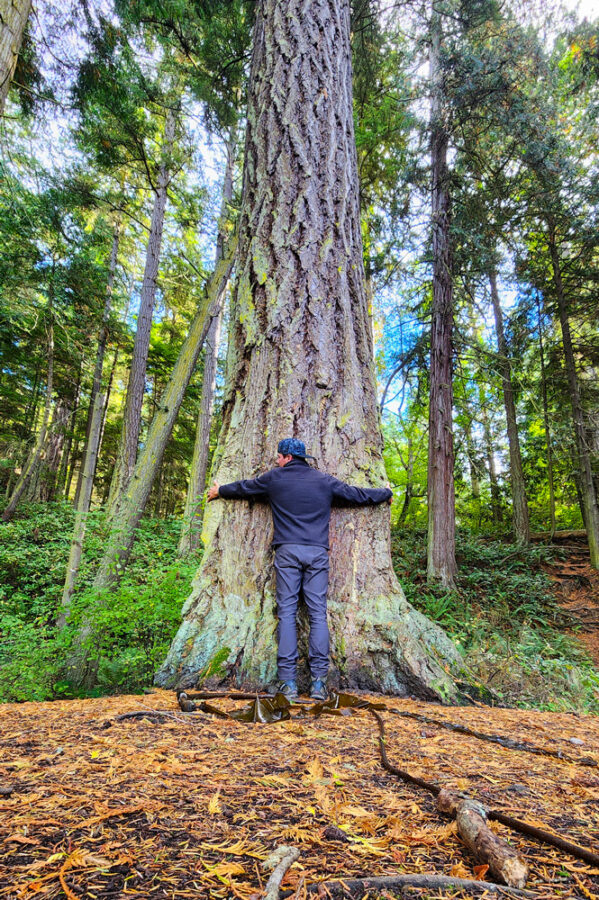 Image of photographer Derek Nielsen hugging one of the largest trees in the world