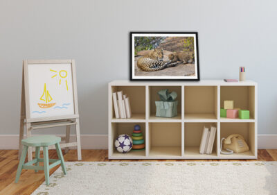 fine art print of a baby leopard pulling her mothers tail displayed in a bedroom