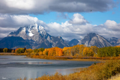 image of the Grand Tetons during fall at Oxbow Bend with an eagle soaring overhead