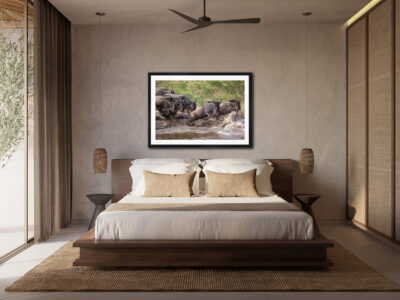 framed fine art print of wildebeest jumping across the Mara River in Tanzania displayed in a bedroom