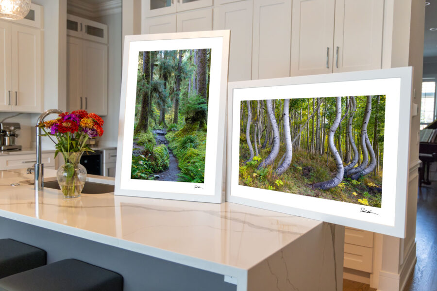 two open edition prints from derek nielsen photography's collection of fine art images