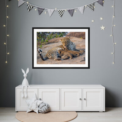 large framed fine art print of a leopard feeding her two cubs displayed in a kids bedroom