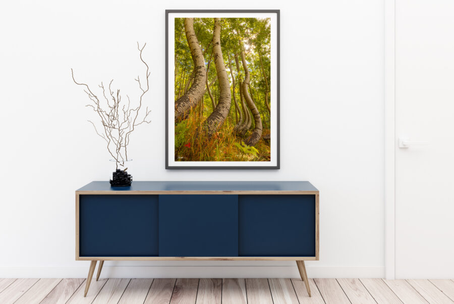 Framed image of aspen trees in Telluride colorado displayed in the halloway of a modern home