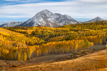 Image of Mount Wilson in Telluride Colorado with snow on its peak surrounded by golden yellow leaves of the aspen trees during fall