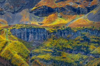 Abstract photo of the fall colors in the high alpine landscape around Telluride Colorado