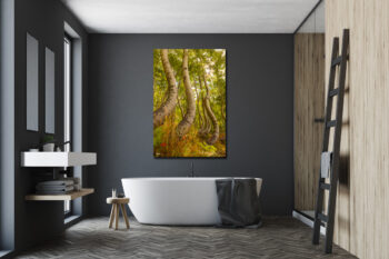 large unframed fine art print of twisted aspen trees in Telluride Colorado displayed above a bathtub in a luxury home