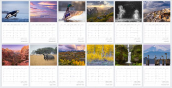 Image of inside the Derek Nielsen Photography 2025 nature photography calendar