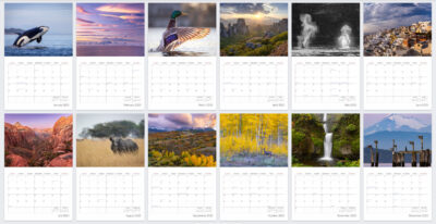 Image of inside the Derek Nielsen Photography 2025 nature photography calendar