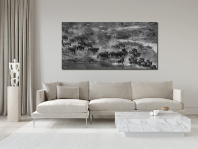 Large unframed fine art print of wildebeest crossing the Mara River in Tanzania displayed in the living room of a luxury home